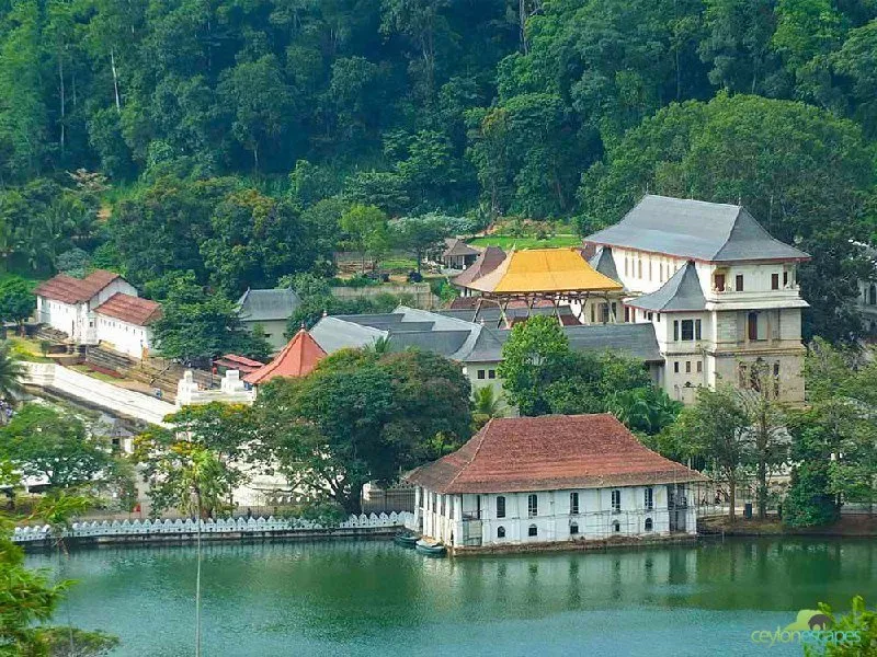 Sri Lanka Family Tour Gallery 1