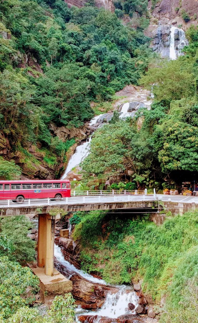 Sri Lanka Family Tour Gallery 4