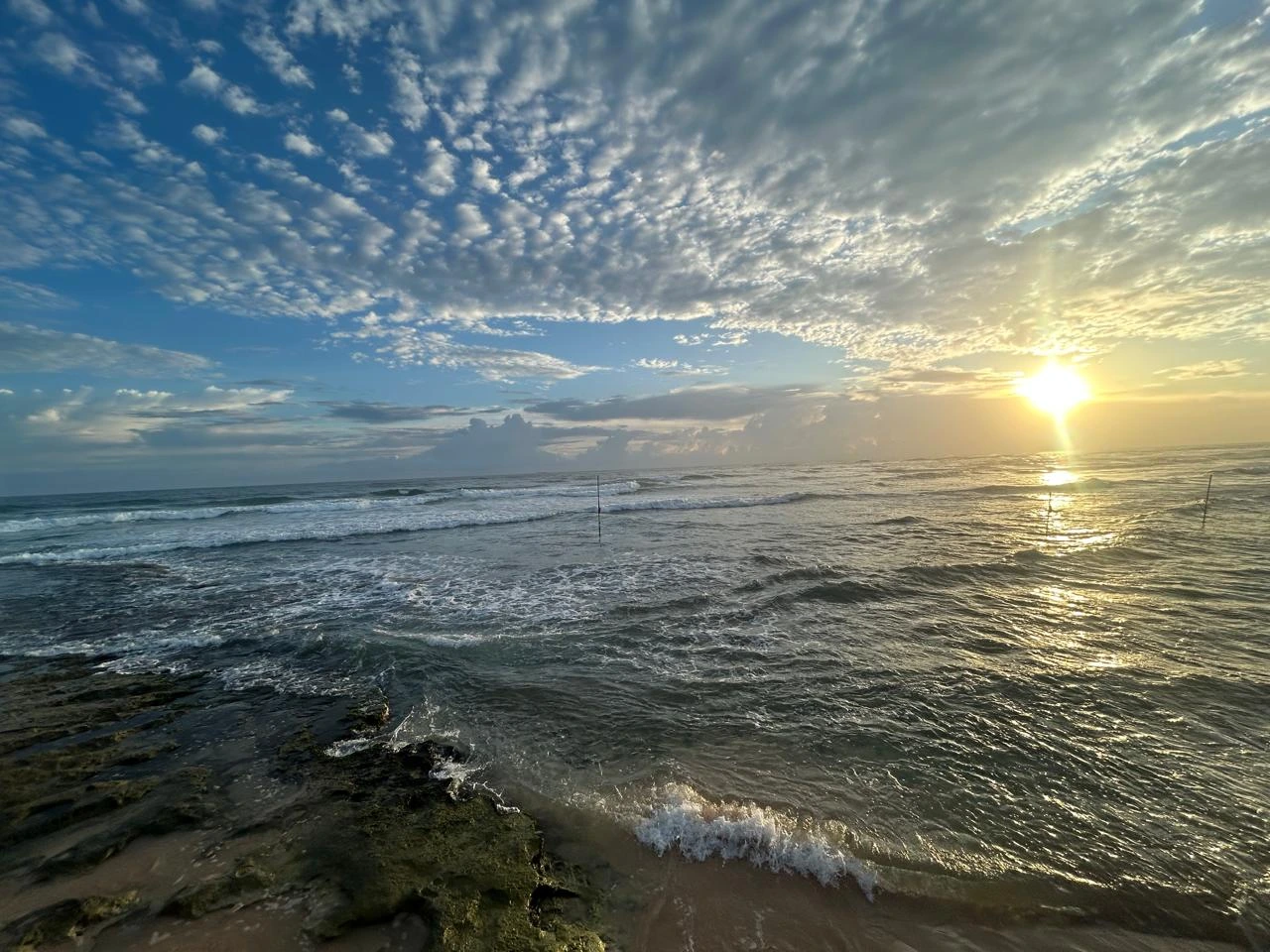 beach-wildlife-and-some-adventure