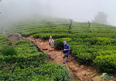 beach-wildlife-and-some-adventure