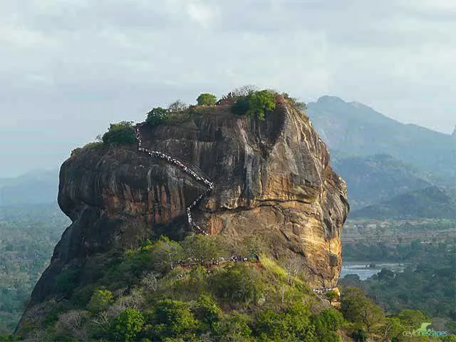 east-coast-special-two-6