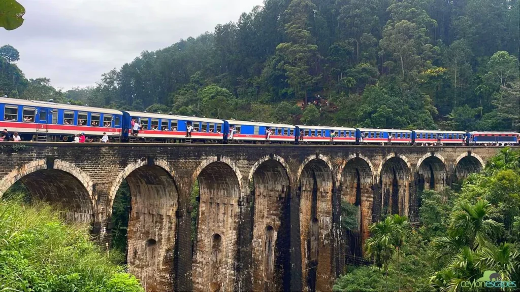 east-coast-special-two-8