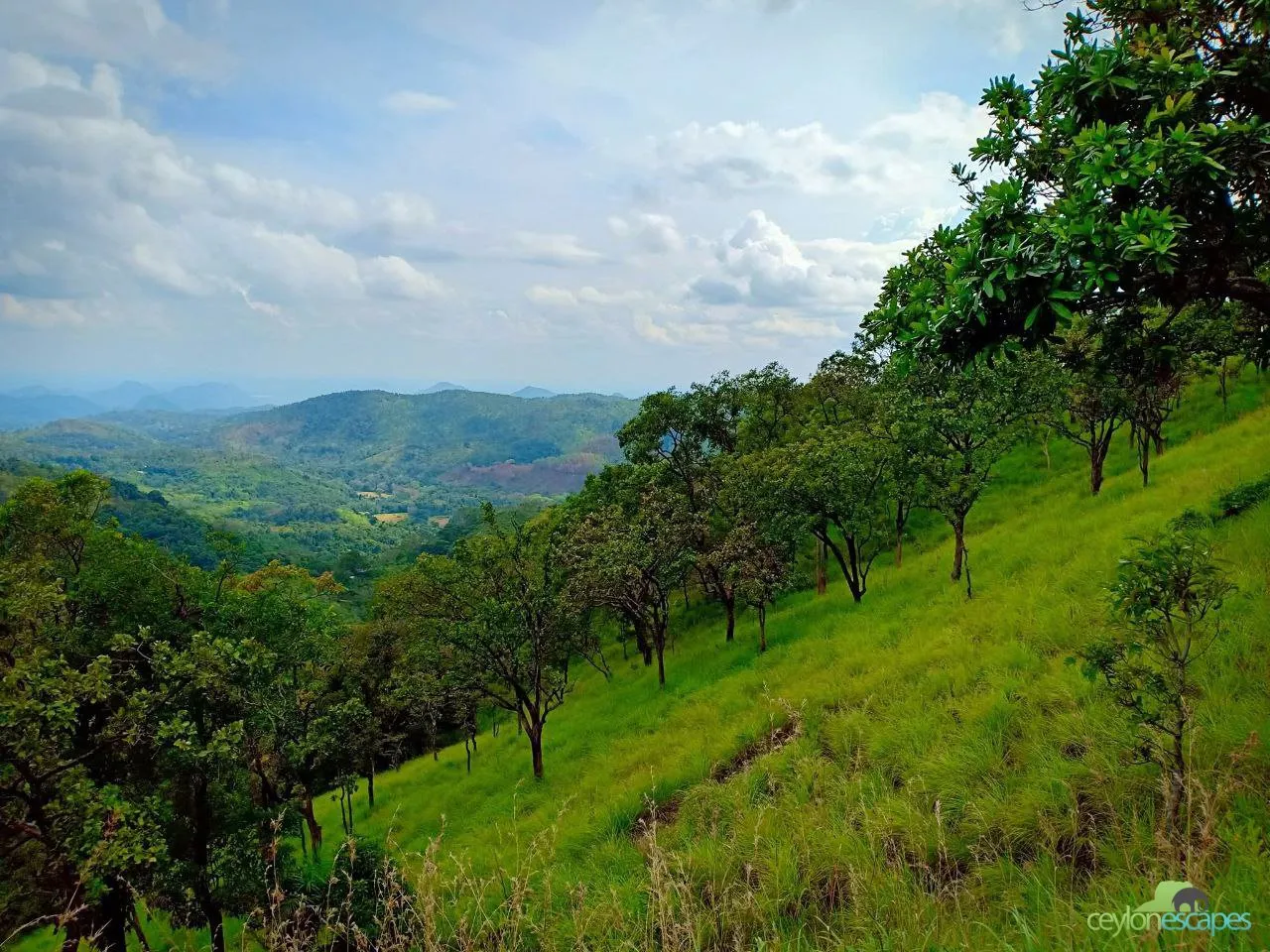 East Coast Special Gallery 5