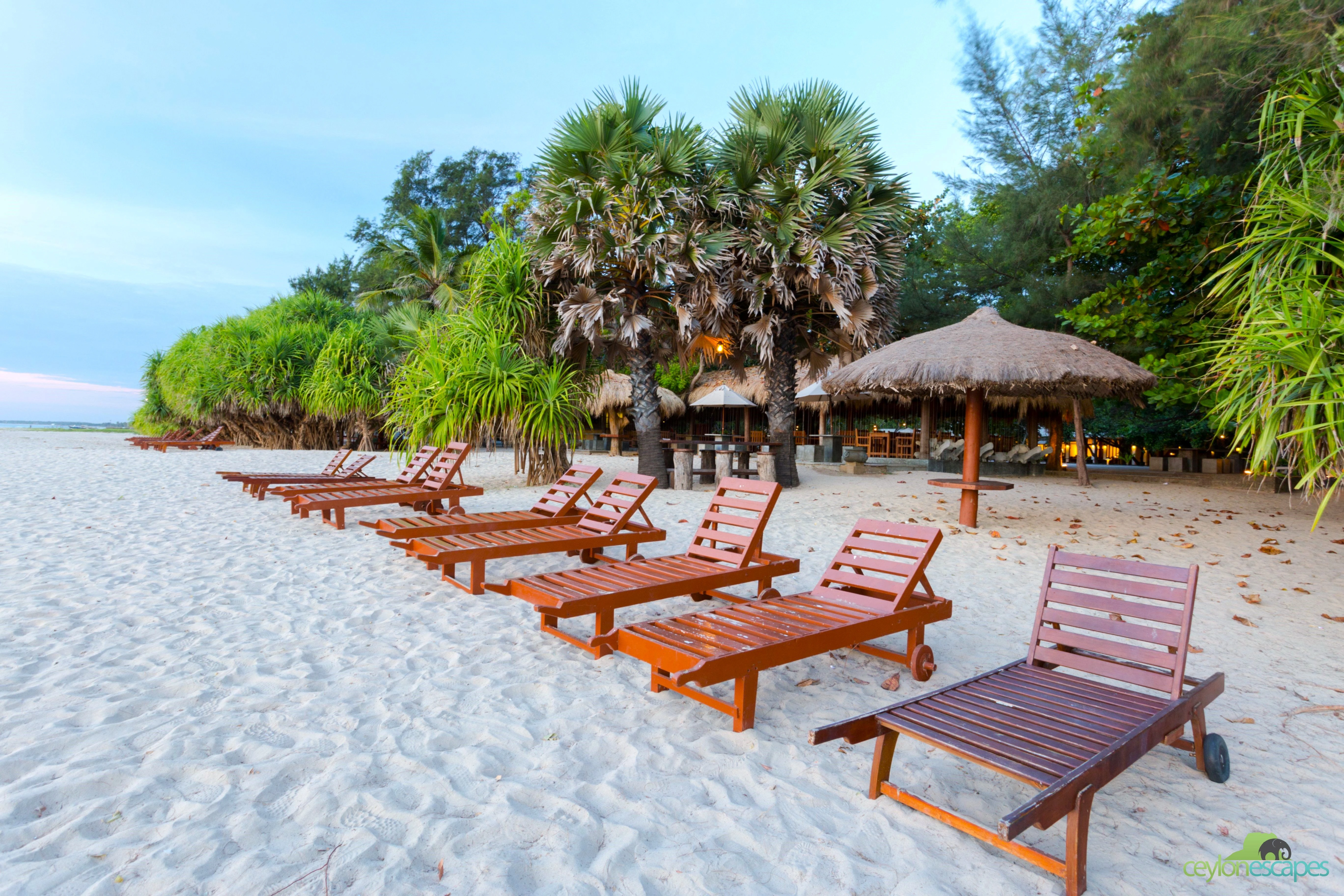 East Coast Summer Break 2