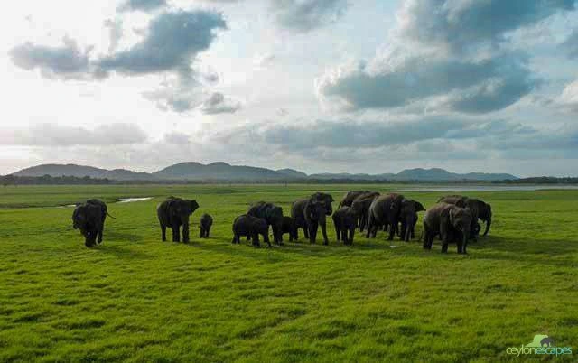 East Coast Summer Break 5