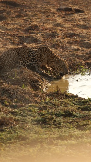 Honeymoon in Sri Lanka Gallery 2