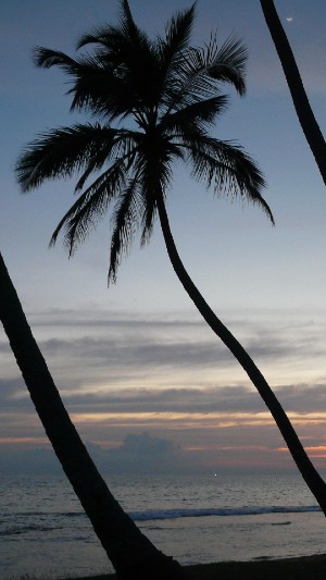 Honeymoon in Sri Lanka Gallery 3