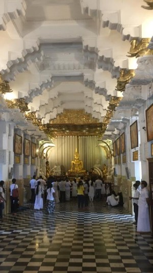 Honeymoon in Sri Lanka Gallery 5