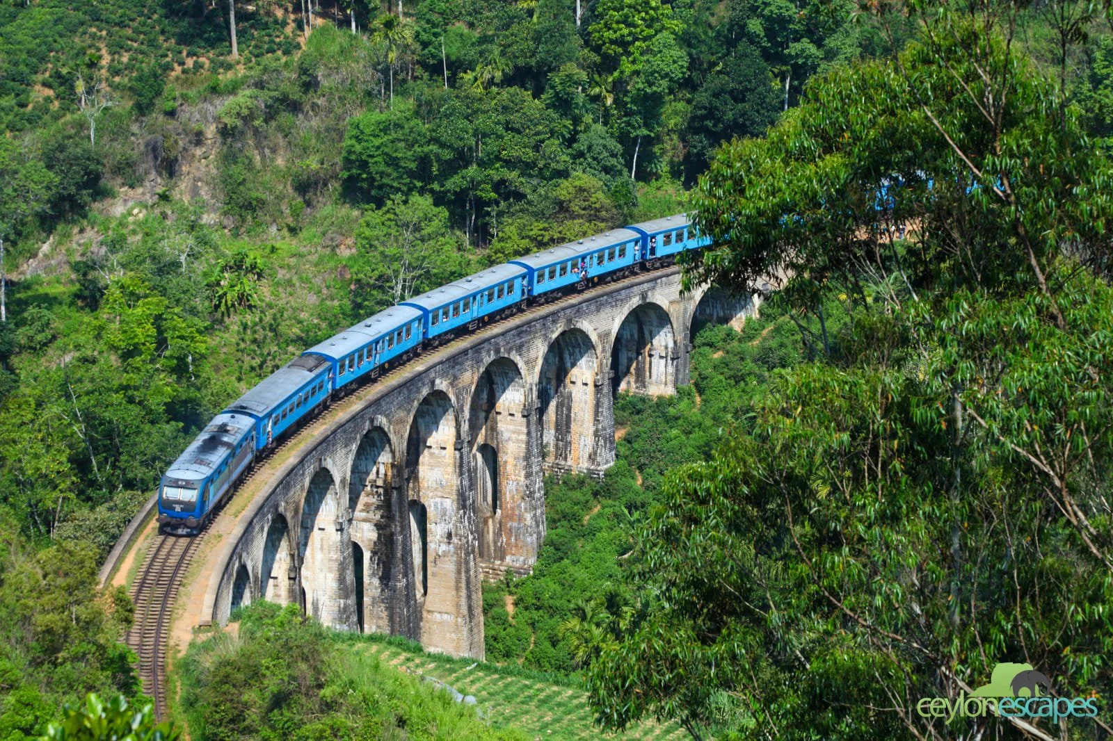 srilanka-special-gallery-1