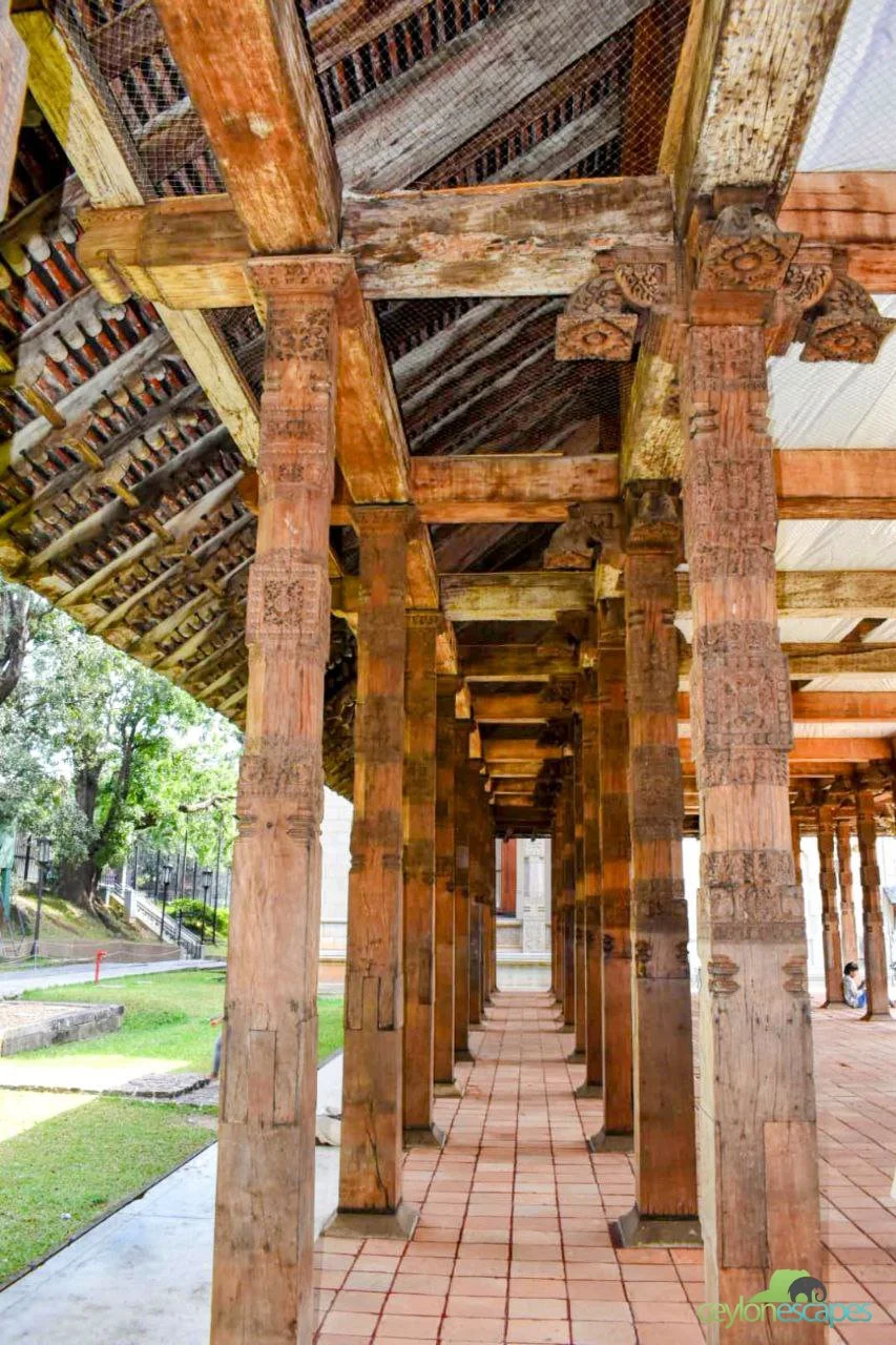 srilanka-special-gallery-6