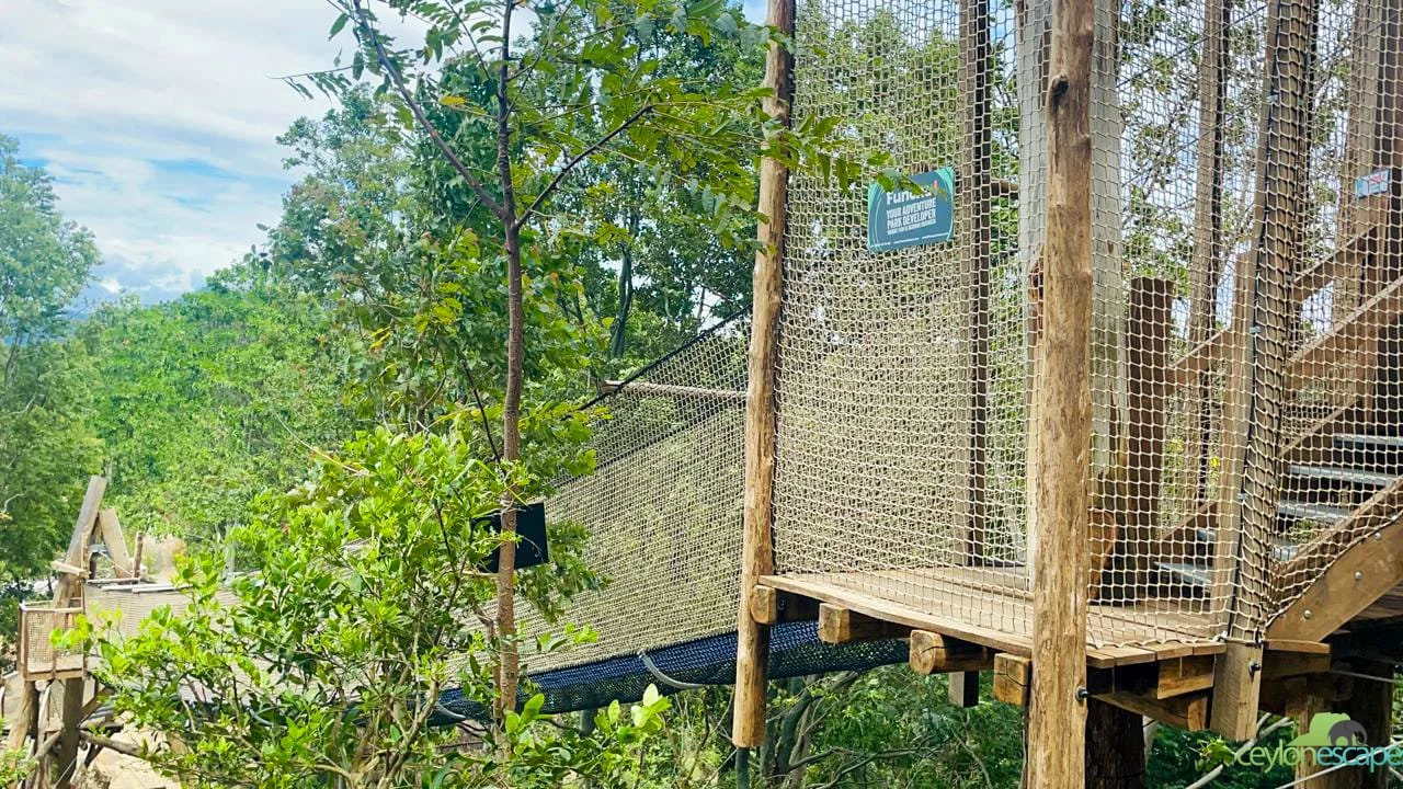 wild-life-and-adventure