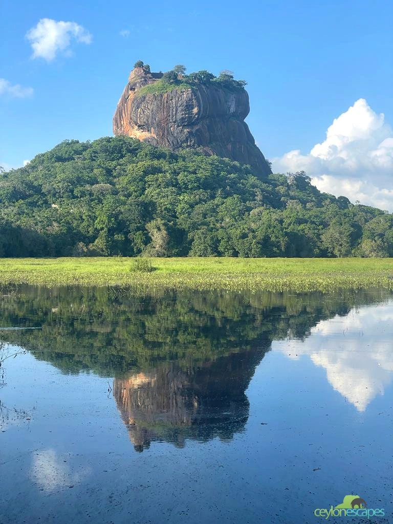 wild-life-and-adventure