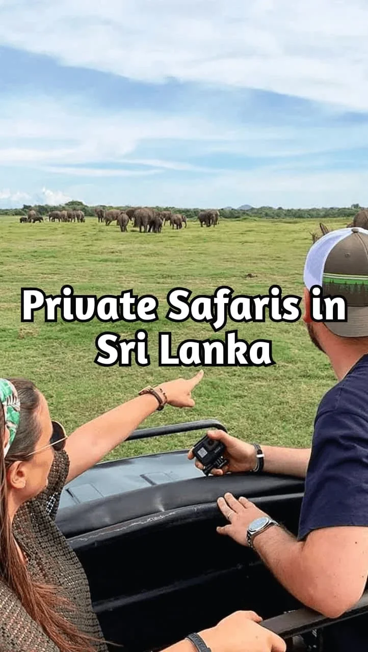 Private Safari Jeep Tour in Sri Lanka