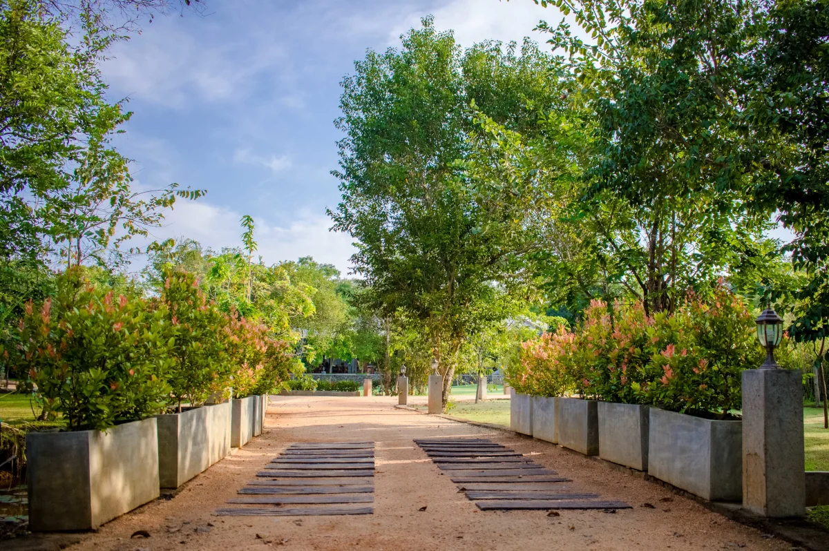 Amaara Forest Sigiriya