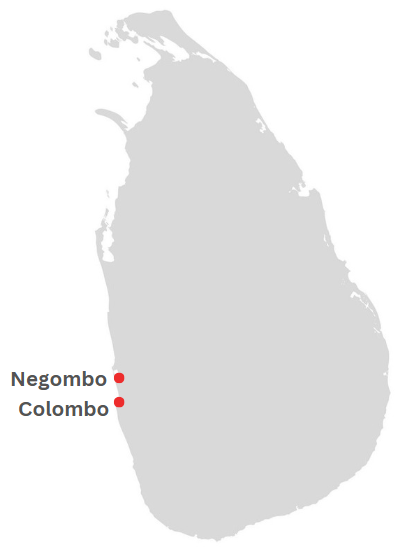 Southern Coast Tour Map