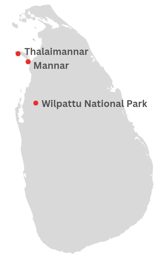 Southern Coast Tour Map