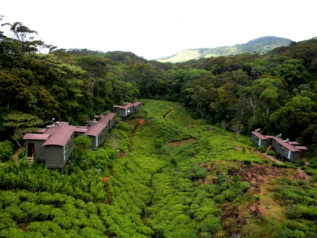 The Rainforest Ecolodge Deniyaya