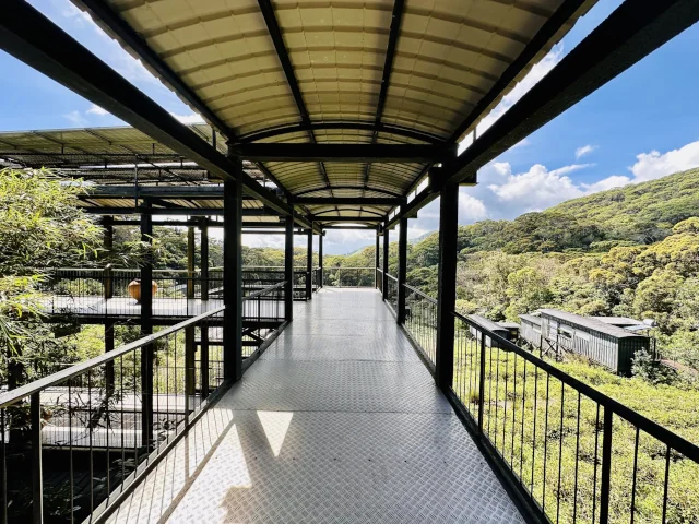 The Rainforest Ecolodge Deniyaya