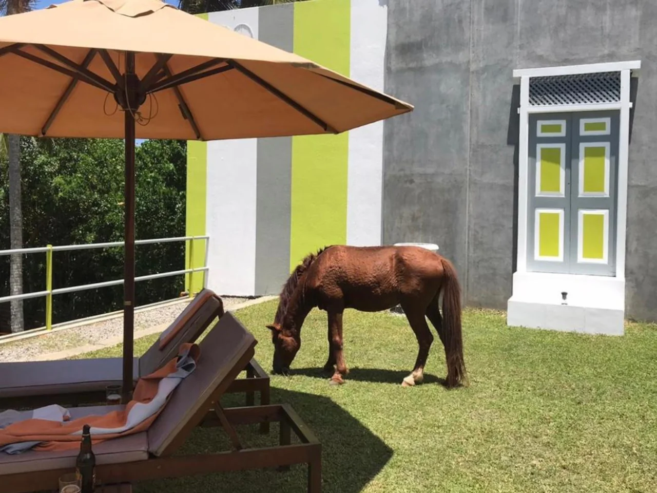 Buckingham place Tangalle