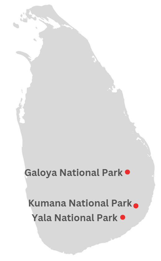 Southern Coast Tour Map