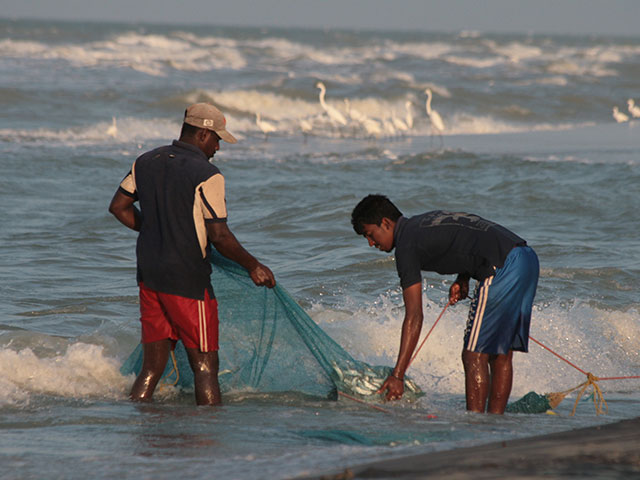 Mannar Bird Sanctuary
