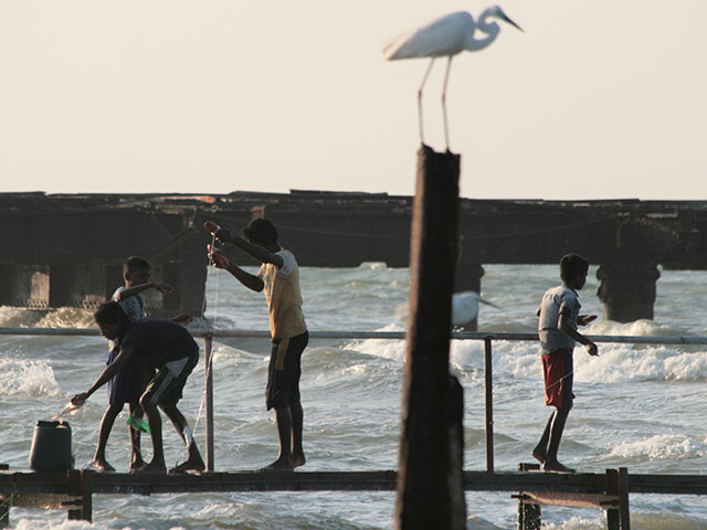 Mannar Bird Sanctuary