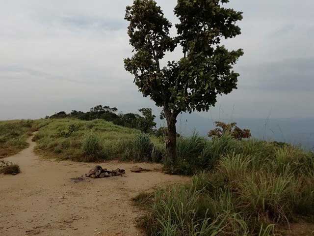 Bible Rock Hike (Bathalegala)