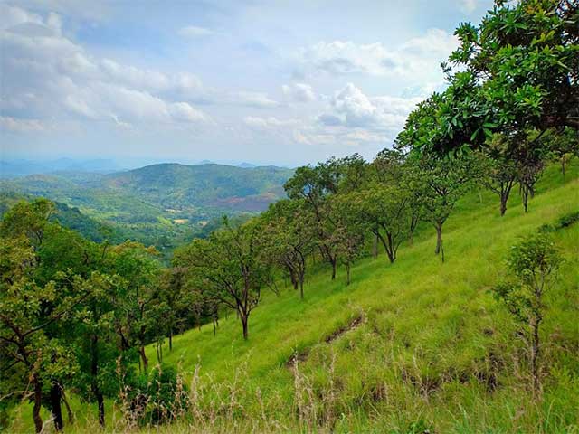 Diyaluma Water Falls Hike