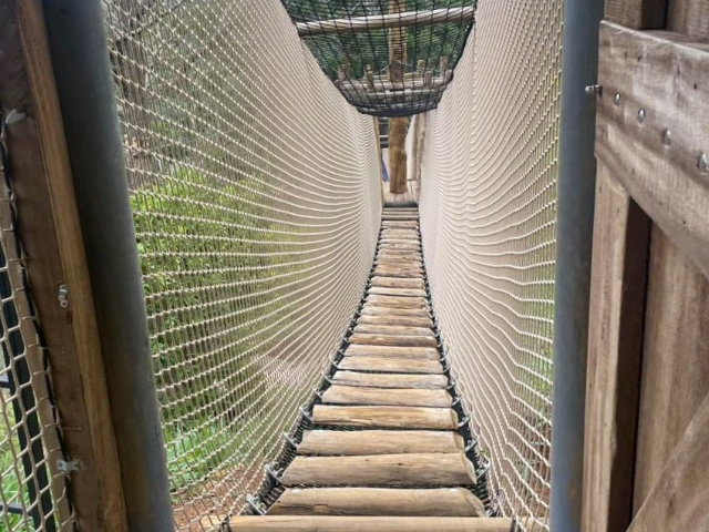 Little Adam's Peak in Ella