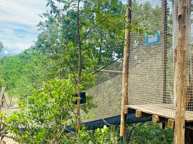 Little Adam's Peak in Ella