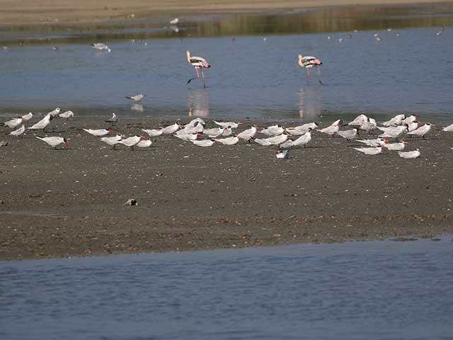 Bundala National Park