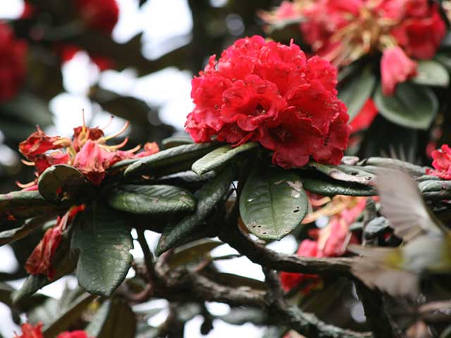 Horton Plains National Park