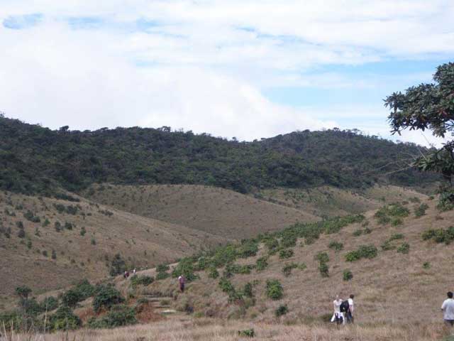 Horton Plains National Park