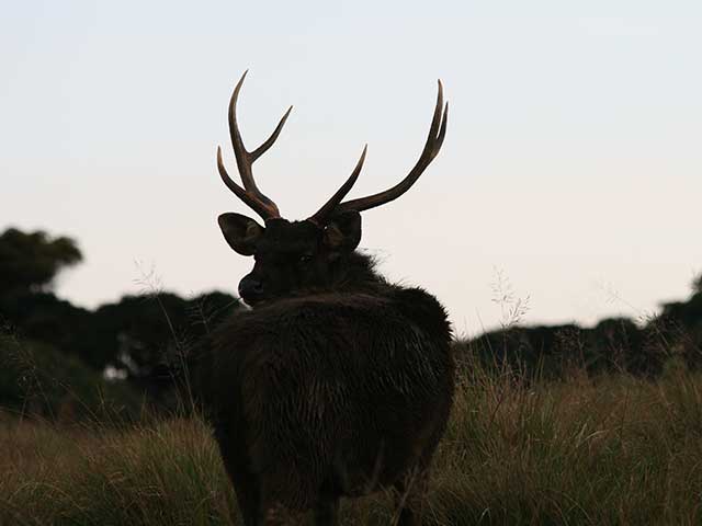 Horton Plains National Park