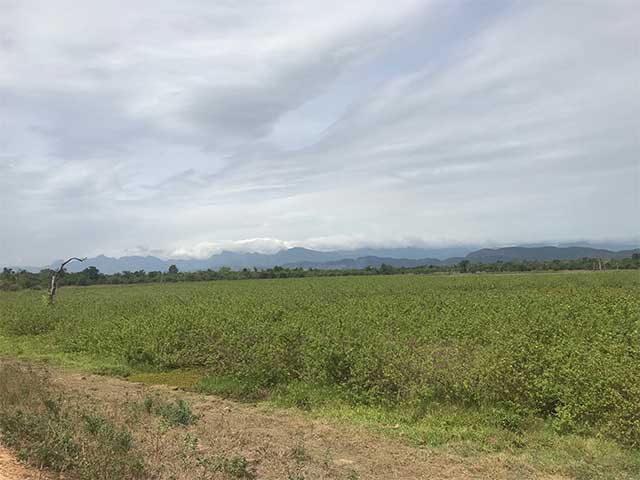 Wasgamuwa National Park